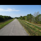 Heute fuhren wir fast ausschließlich auf dem Donaudeich